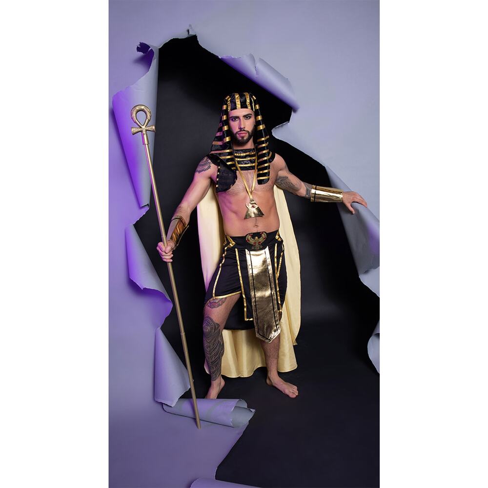 NEW King of Eqypt Pharoah Costume Size Large - Picture 7 of 10